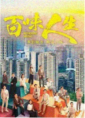 云影院热播剧雾港追凶悬疑刑侦在线观看