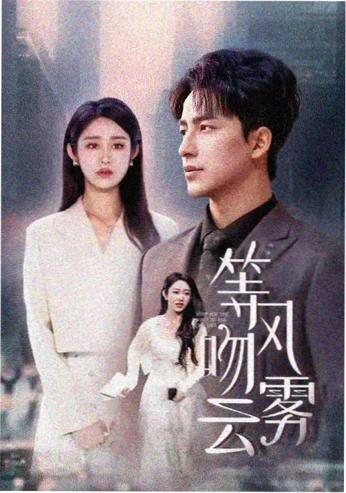 云影院热播剧长夜有灯都市情感在线观看